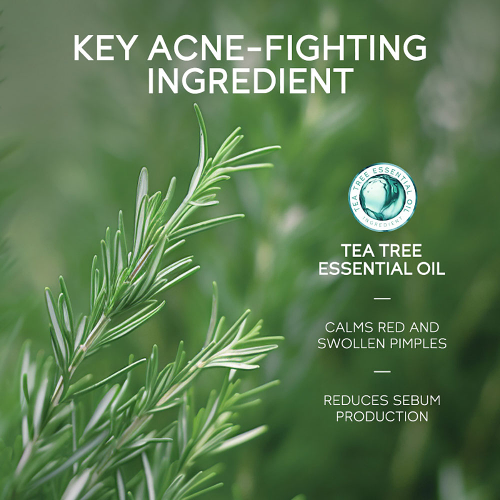 LAIKOU Tea Tree Acne Gel 15g,  - đánh giá và giá Tea Tree Spot Treatment