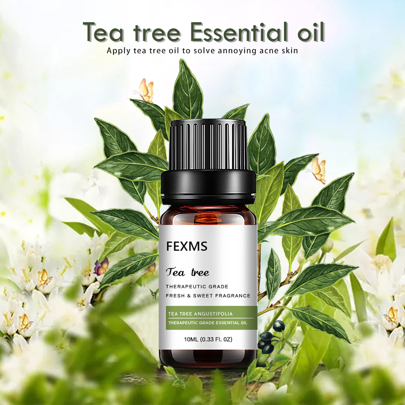 100% Nguyên Chất Tinh Dầu Cây  - đánh giá và giá Tea Tree Spot Treatment